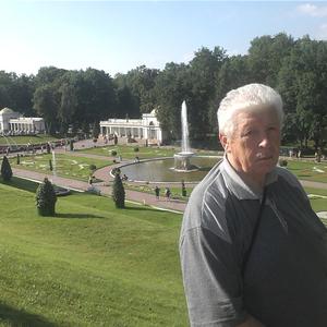 Николай, 83 года, Жуковский