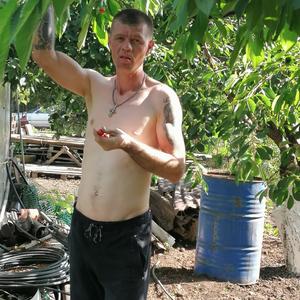 Леша, 42 года, Новочеркасск