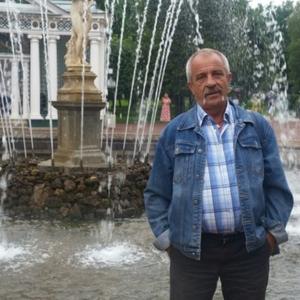 Парни в Петрозаводске: Александр Исаков, 66 - ищет девушку из Петрозаводска