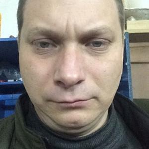 Николай, 46 лет, Курск