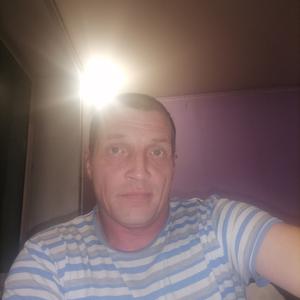 Иван, 42 года, Верхняя Тойма