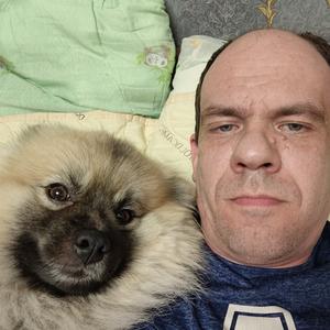Алексей, 41 год, Дмитров