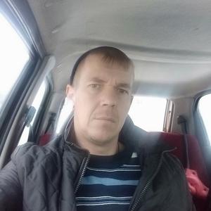 Василий, 42 года, Тула