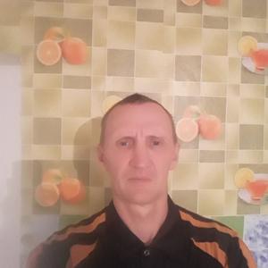 Сергей Носков, 54 года, Алтайский