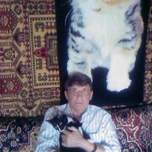 Сергей Утин, 59 лет, Волгоград