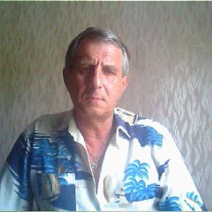Владимир, 68 лет, Барнаул