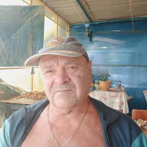 Юрий, 71 год, Ростов-на-Дону