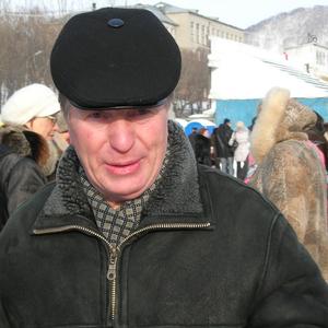 Николай, 62 года, Владимир