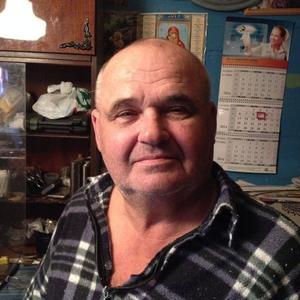 Володя, 69 лет, Нижний Новгород