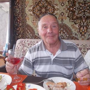 Михаил, 75 лет, Ижевск