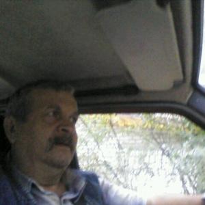 Николай, 64 года, Брянск