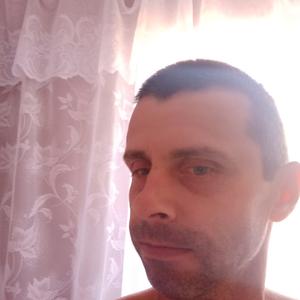 Михаил, 40 лет, Краснодар