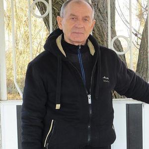 Юрий, 78 лет, Краснодар