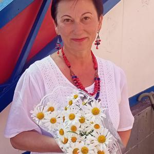 Людмила, 65 лет, Одинцово