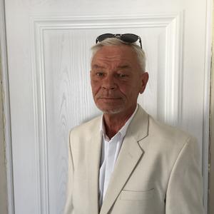 Александр, 64 года, Таганрог