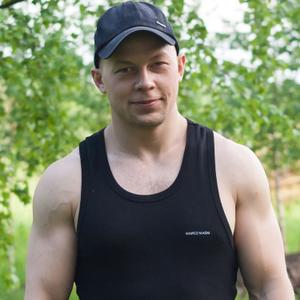 Дмитрий, 39 лет, Южа