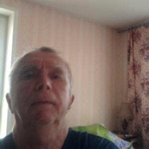 Владимир, 70 лет, Ногинск