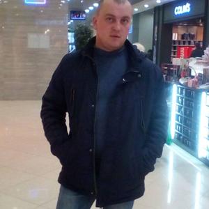 Алексей, 36 лет, Щекино