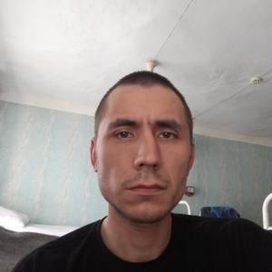 Николай Власов, 37 лет, Березники