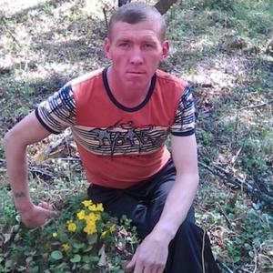 Сергей, 45 лет, Краснокаменск