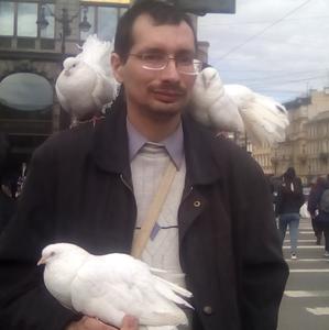 Сергей Александрович Некрасов, 39 лет, Электрогорск