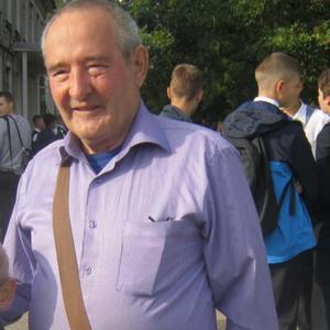 Виктор, 82 года, Псков