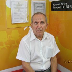 Владимир Богданов, 80 лет, Краснодар