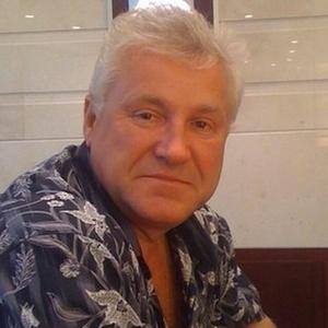 Виктор, 64 года, Лесозаводск
