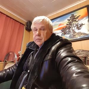 Владимир, 70 лет, Нижний Новгород