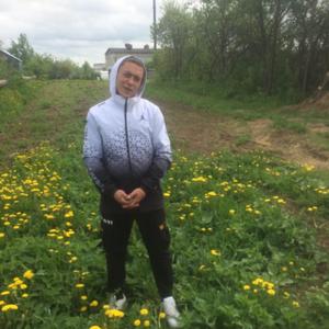 Денис, 29 лет, Владимир