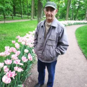 Парни в Гатчине: Вячеслав, 79 - ищет девушку из Гатчины