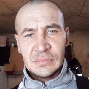 Парни в Киселевске: Александр, 39 - ищет девушку из Киселевска