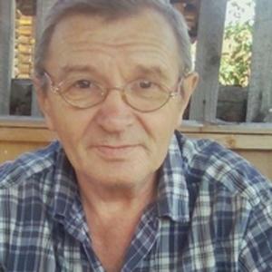 Владислав, 68 лет, Нижний Новгород