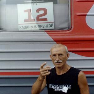 Бабенко Николай, 71 год, Чебоксары