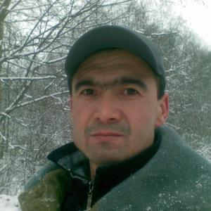 Толик Давыдов, 45 лет, Истра