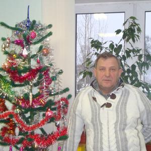 Николай Смирнов, 67 лет, Ярославль