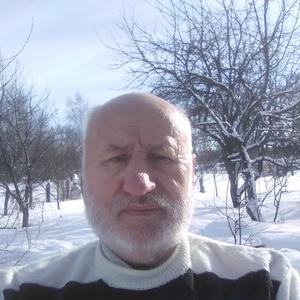 Валерий, 71 год, Тула