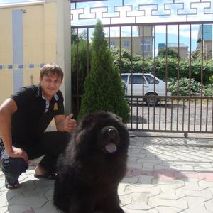 Александр, 38 лет, Волжский