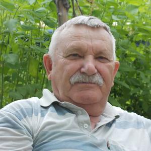 Парни в Саратове: Александр, 77 - ищет девушку из Саратова
