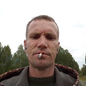 Дмитрий, 45 лет, Голышманово