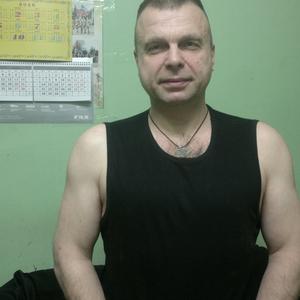 Вадим, 59 лет, Ярославль