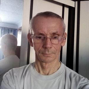 Александр Глухов, 67 лет, Городец