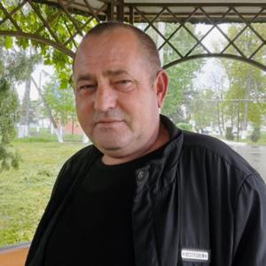 Николай, 54 года, Краснодар