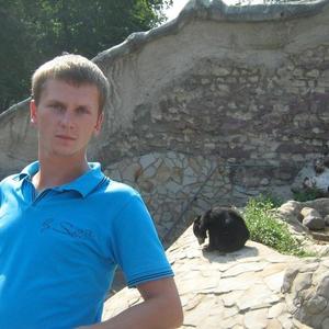 Aleksandr, 39 лет, Александров