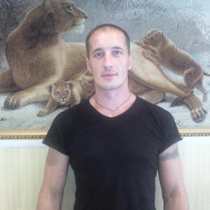 Nikolai, 41 год, Нижний Новгород