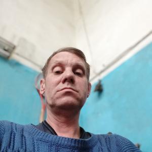 Александр Беляев, 56 лет, Кинешма