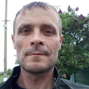 Александр, 42 года, Азов