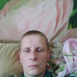 Виталий Коротаевский, 44 года, Вельск