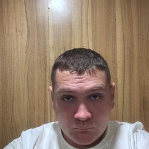 Сергей, 33 года, Сертолово