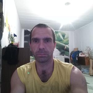 Дмитрий, 42 года, Брянск